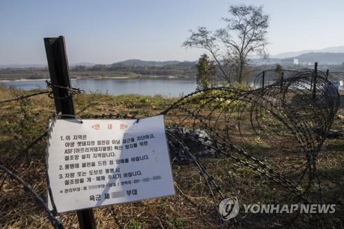 연천군 임진강변에 아프리카돼지열병(ASF) 확산 방지와 야생멧돼지 이동을 막기 위한 철조망이 설치돼 있는 모습. 연합뉴스
