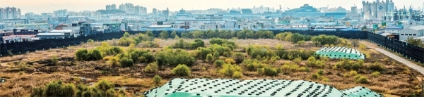 인천 서구의 대한석탄공사 인천비축장에서 기준치(400ppm) 이상의 불소가 나왔지만, 현재까지 정화 조치는 이뤄지지 않고 있다. 사진은 서구 가좌1동에 있는 대한석탄공사 인천비축장 전경. 조주현기자