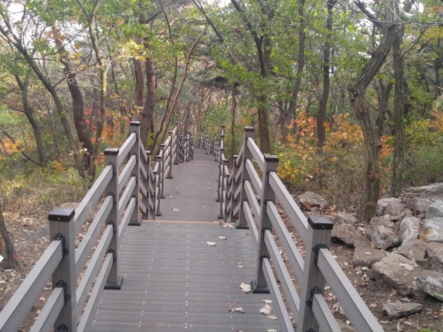 ▲ 광주시, 태화산 명품 숲길정비사업 완료 (2)