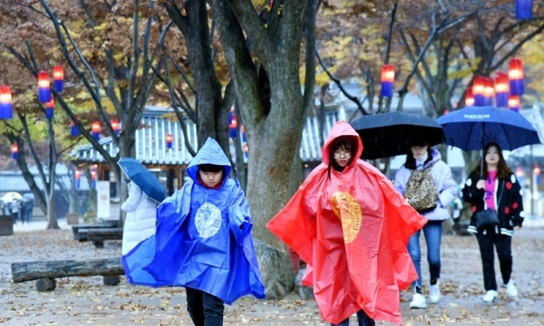 겨울을 재촉하는 비가 내려 기온이 뚝 떨어진 17일 용인 한국민속촌에서 우산을 쓴 관광객들이 낙옆이 쌓인 거리를 걷고 있다.전형민기자