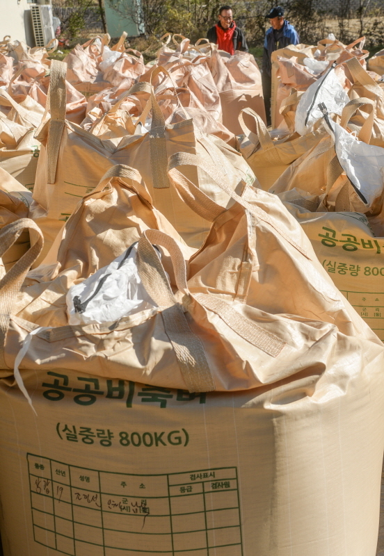 인천 중구가 태풍으로 인한 피해 벼 전량을 매입하기로 한 가운데 20일 오전 옛 용유동주민자치센터에서 관계자들이 수매를 앞둔 쌀의 무게를 재고 있다.조주현기자