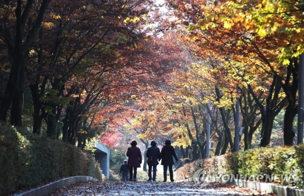 지난 11일 오전 경기도 화성시 남양성모성지를 찾은 시민들이 떨어진 낙엽을 밟으며 걷고 있다.  /연합