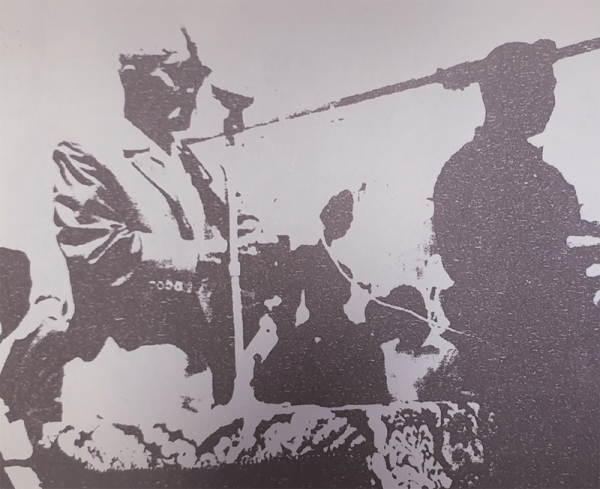 1954년 3·1절 기념식에서 독립선언서 낭독.