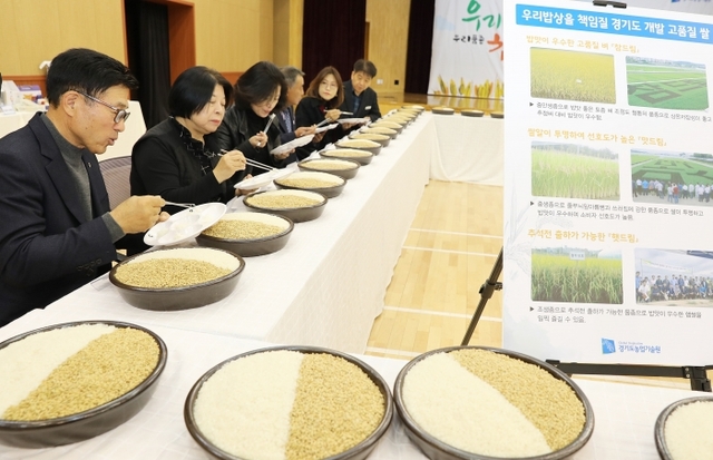 ▲ 경기도농업기술원 농업과학교육관에서 열린 제2회 참드림 쌀 품평회에서 심사위원들이 식미평가를 하고 있다.도농기원 제공