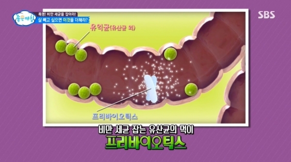 '좋은아침'에 소개된 프리바이오틱스. SBS