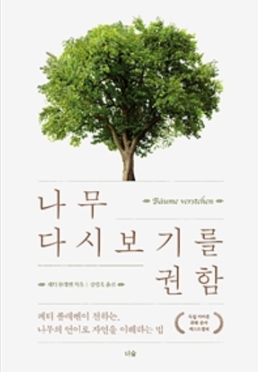 ▲ 나무를 다시 보기를 권함