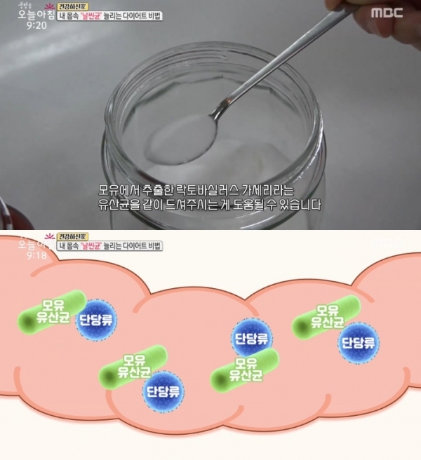 '생방송 오늘아침'에서는 락토바실러스 가세리 유산균이 소개됐다. 방송 캡처