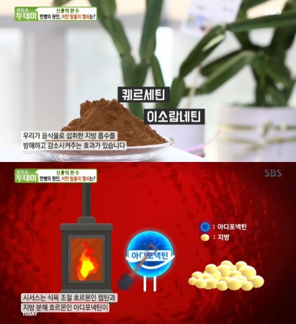 '생방송 투데이'에서는 '신(身)의 한 수' 코너를 통해 시서스가 소개됐다. 방송 캡처