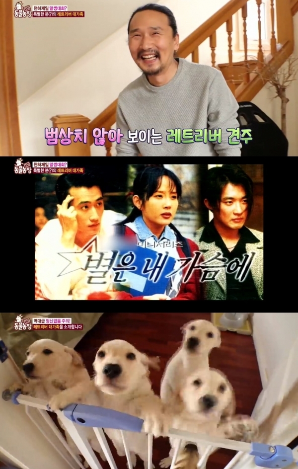 '동물농장' 임하영의 시끌벅적한 레트리버 가족의 이야기가 공개됐다. 방송 캡처