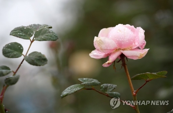 사진=연합뉴스