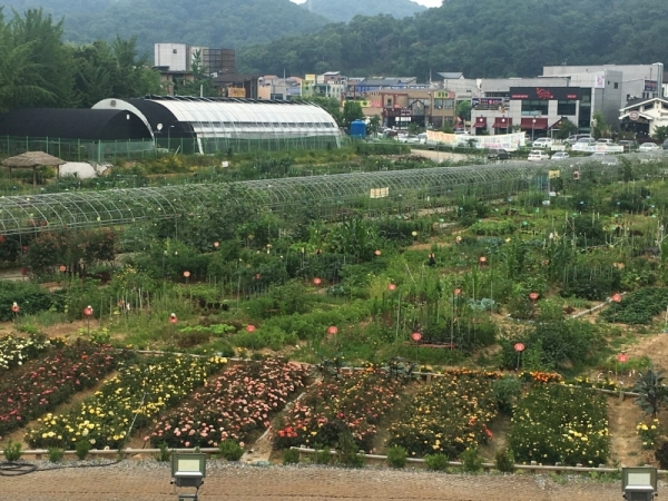 밤일 시민주말농장 전경. 광명시 제공