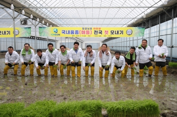 경기 이천시 전국에서 첫 모내기