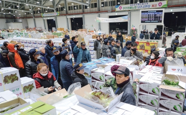 2일 새벽 2시, 인천시 남동구 남촌농산물도매시장의 첫 경매에 참가한 중도매인들이 단말기를 이용해 낙찰을 받고 있다. 장용준기자