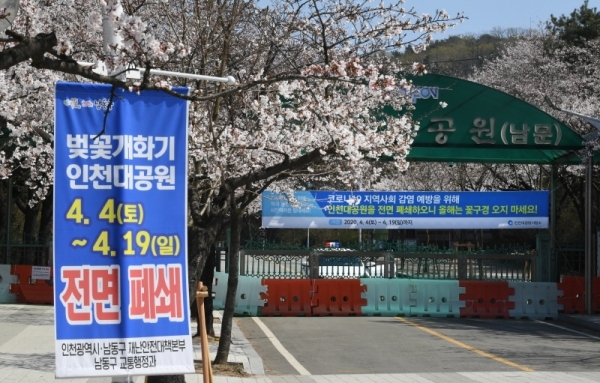 상춘객간 코로나19 지역확산 예방을 위해 폐쇄한 인천지역 최대 벚꽃 명소인 인천대공원 남문이 5일 굳게 닫혀있다. 장용준 기자
