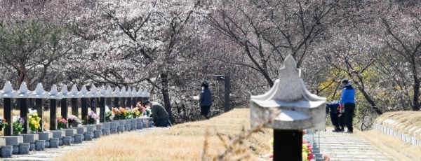 5일 한식(寒食)을 맞아  인천시 부평구 인천가족공원을 찾은 성묘객이 조상의 묘를 찾아서 성묘를 하고 있다. 장용준기자