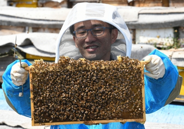 봄꽃이 절정을 이룬 6일 오후 수원시 광교벌치기농장에서 농민 이대홍씨가 소초판을 살펴보고 있다. 