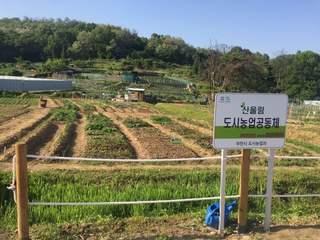 춘의동에 위치한 산울림농장 전경.