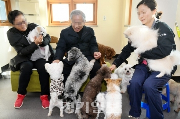 위 사진은 해당 기사와 아무 관련이 없습니다. 경기일보DB