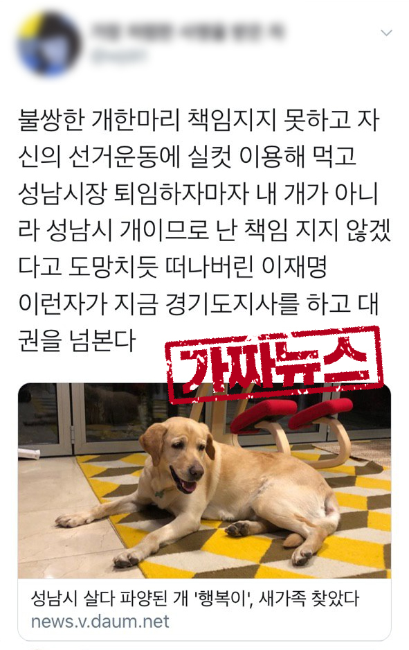 ▲ 성남시가 입양한 유기견 행복이. 이재명 지사에게 입양을 거절당한 사연이라며 올라온 트위터 가짜뉴스 캡처