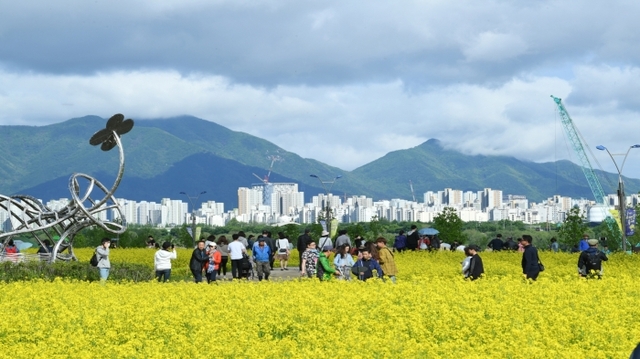▲ 구리유채꽃 축제