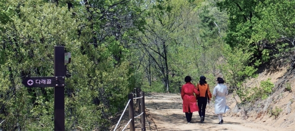 관광객들이 양자산을 등산하며 즐거운 시간을 보내고 있다.