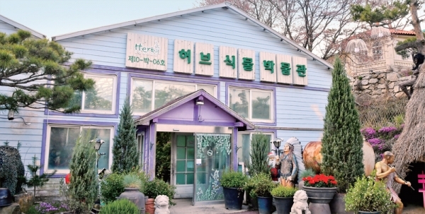 다양한 허브의 체험과 구매가 가능한 ‘허브식물 박물관’ 온실.