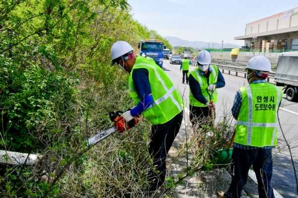 봄철을 맞아 경기도가 31개 시군의 11,568km의 도로의 대대적인 대청소가 진행중인 7일 오전 안성시의 한 국도변에서 안성시 도로보수원들이 도로의 잡초와 나뭇가지를 정리하고 있다. 윤원규기자
