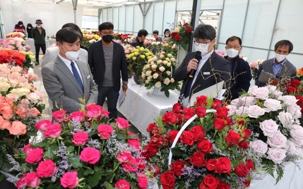 장미 신품종 평가회
