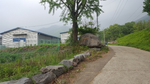 남양주 와부읍 도곡리 일대 모습. 류창기 기자