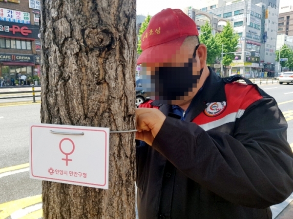 공무원이 은행나무에 표찰을 달고 있다. 안양시 제공