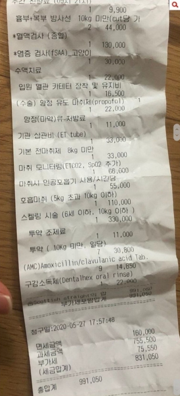 한 누리꾼이 고양이의 스케일링을 위해 동물병원을 방문했다가 99만원이 넘는 치료비를 청구받았다며 공개한 영수증. 온라인 커뮤니티