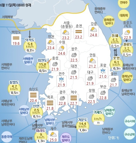 6월 11일 오전 8시 기준 날씨 현황. 기상청 홈페이지