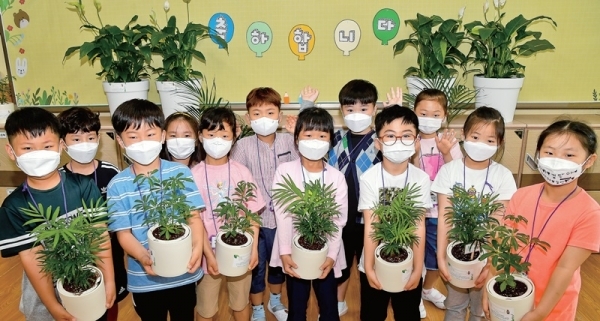 ▲ 수원 화양초등학교 1학년 4반 학생들이 ‘교실 숲’ 조성을 위해 기부된 화분을 들고 인사하고 있다. AK플라자의 지원으로 도내 최초로 화양초에 만들어진 ‘교실 숲’은 코로나19 사태에서 등교한 학생들의 정서안정과 교내 공기정화 등 다양한 효능이 기대된다.  윤원규기자