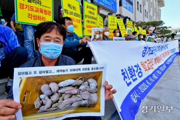 친환경 학교급식 경기도운동본부, 농업인연합회 등 관계자들이 15일 오후 경기도의회 앞에서 ‘경기도가정꾸러미 파행 실태 규탄 및 학교급식 계약재배 농가 피해 대책’을 촉구하는 기자회견을 하고 있다.  윤원규기자