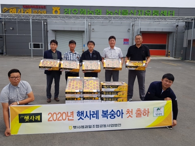 햇사레과일조합공동사업법인 소속 조합원들이 햇사레복숭아 첫 출하를 기념해 출하식을 갖고 기념촬영을 하고 있다.