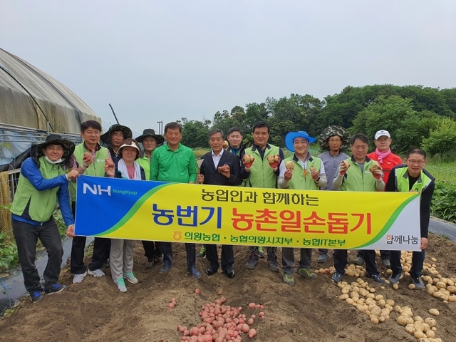 농협 의왕시지부(지부장 황성용)와 의왕농협(조합장 김호영)ㆍ농협 IT 임ㆍ직원들이 농촌일손돕기 참여 후 기념촬영을 하고 있다. 농협 의왕시지부