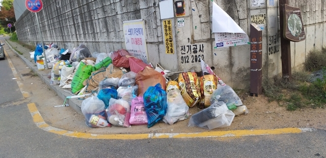 ▲ 일산동구 성석동 담벼락을 따라 쓰레기 더미가 쌓여있다.사진=심홍순 의원 제공