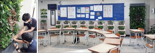 ▲ 송호고등학교 학생들이 교실 내 수직 정원에 물을 주고 있다.(왼쪽) 숲속 같은 친환경 교실로 조성된 시범교실 전경.