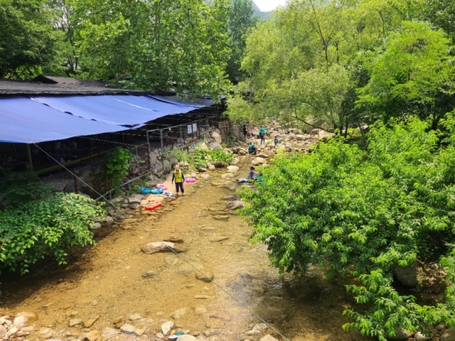 지난 4~5일 고양시 덕양구 효자동과 서울시 은평구 진관동 사이를 흐르는 북한산 계곡에서 식당들이 파라솔 등을 설치하고 영업하고 있다.