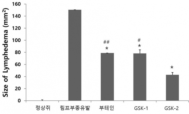 ▲ 2_동물실험+림프부종+크기+감소결과_그래프