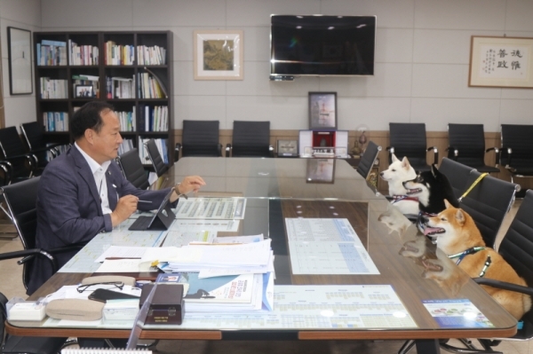 여러분들은 오늘부터 양평군 홍보대사입니다.물맑은 양평, 포스트 코로나 시대의 준비된 도시 양평 홍보에 최선을 다해 주시기 바랍니다. 정동균 군수가 홍보대사로 위촉된 세마리의 시바견에게 홍보대사의 역할을 설명하고 있다.