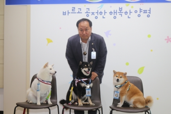 정동균 양평군수가 22일 양평군 홍보견으로 위촉된 시바견 여우,탱이,곰이에게(외쪽부터) 위촉장을 수여하고 기념 촬영을 하고 있다.