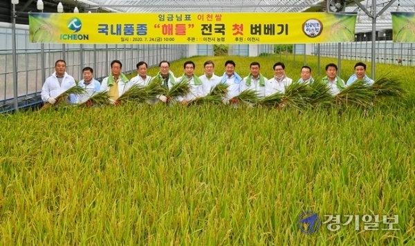 24일 오전 이천시 호법면의 비닐하우스 논에서 열린 '임금님표 이천쌀 국내품종 해들 전국 첫 벼 베기 행사'에서 엄태준 이천시장, 미래통합당 송석준 의원 등 참석자들이 수확한 벼를 들고 기념촬영을 하고 있다. 국산품종 벼 '해들'은 이천시와 농협이천시지부, 농촌진흥청에서 공동 개발한 조생종 품종이다. 윤원규 기자