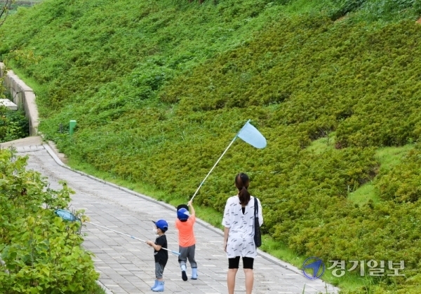 장맛비가 그친 30일 오후 인천시 서구 경명공원을 찾은 아이들이 즐거운 모습으로 잠자리를 잡고 있다. 장용준 기자