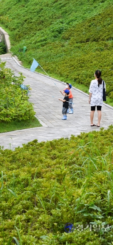 장맛비가 그친 30일 오후 인천시 서구 경명공원을 찾은 아이들이 즐거운 모습으로 잠자리를 잡고 있다. 장용준 기자