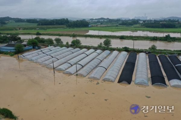 경기도 등 전국에 큰비가 내린 2일 오후 이천시 대월면 장평교 일원의 양화천이 범람, 주변 비닐하우스와 농경지가 물에 잠겨있다. 윤원규기자