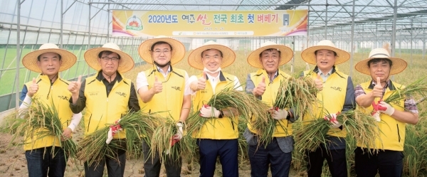 전국유일 쌀 산업특구에서 지난달 26일 대왕님표 여주쌀 첫 수확현장. 여주시 제공
