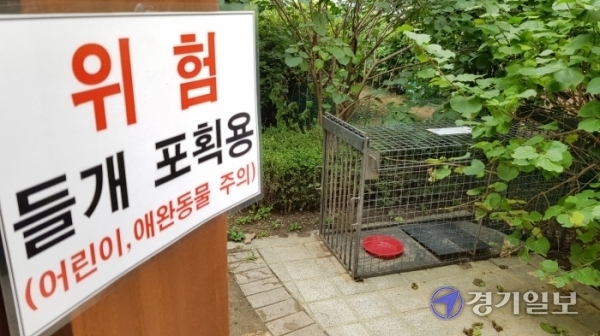 18일 오전 화성시 봉담읍 와우리의 한 아파트단지 내부에 설치된 포획틀. 채태병기자
