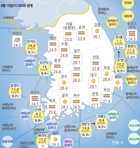 8월 19일 오전 8시 기준 날씨 현황. 기상청 홈페이지