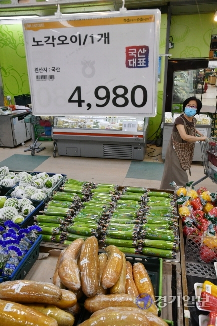 17일 수원시 권선구 하나로마트에서 장보러 온 시민들이 채소가격을 확인하고 있다. 긴 장마와 태풍 등의 여파로 각종 채소, 과일값이 급등하면서 추석을 앞둔 주부들의 마음을 무겁게 하고 있다. 김시범기자